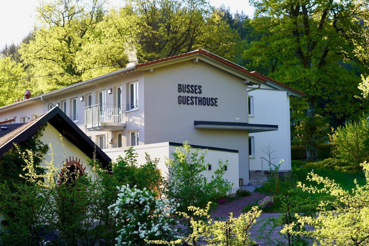 Busses Guesthouse Freiburg im Breisgau Ngoại thất bức ảnh